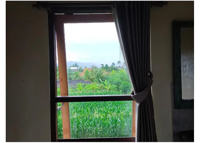 Medewisurf-homestay