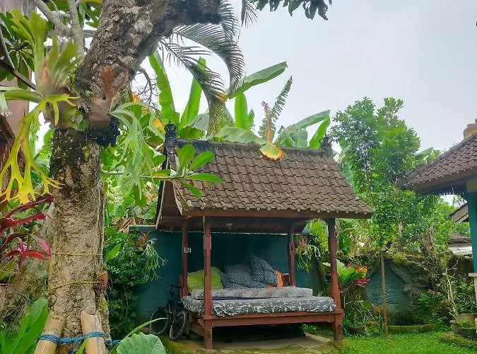 Medewisurf-homestay